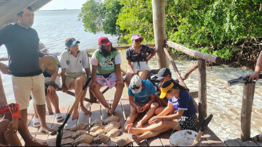 Conservación Marina: Cómo Biólogos del TecNM Tizimín Combaten Agroquímicos, Microplásticos y Cambio Climático